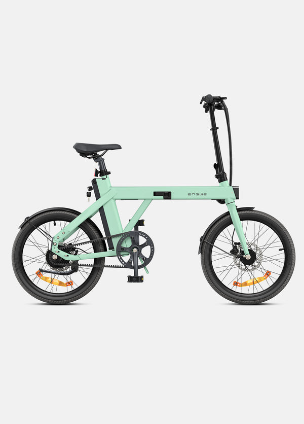 ENGWE P20 | Bicicletta Elettrica | Motore 250W | 36V 9.6Ah | 25km/h | Autonomia 100km| GARANZIA ITALIANA