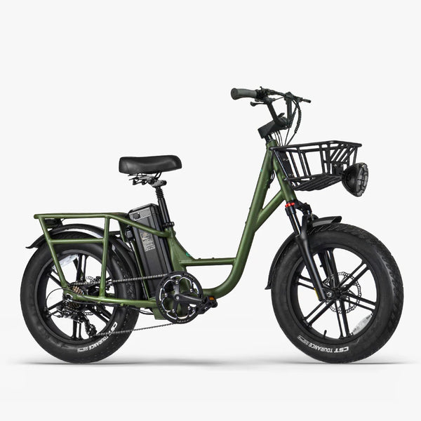 FIIDO T1 Pro | Bicicletta elettrica | Ruote Fat | Motore 750W | 48V 20AH | Autonomia 150km | Freni idraulici | GARANZIA ITALIANA