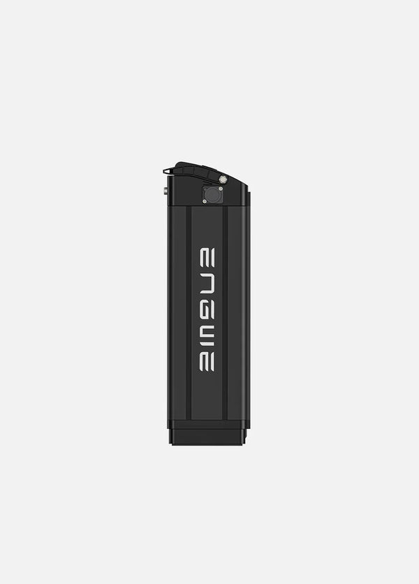 Batteria ENGWE Originale 48V 13Ah solo per Engwe L20