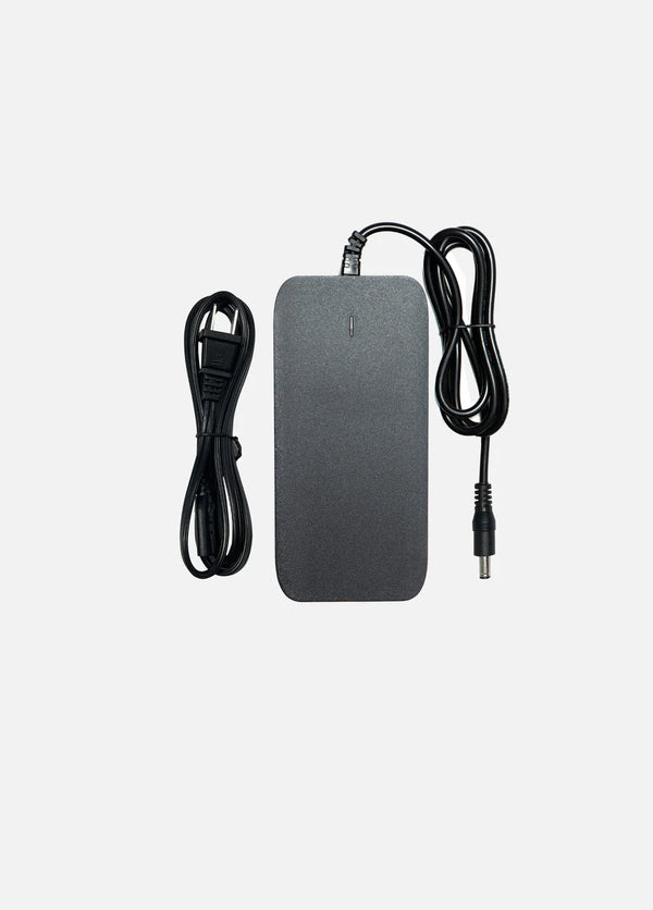 Carica batteria 54.6V 2A/3A (connettore DC 5.5x2.1mm) Originale per bicicletta elettrica ENGWE EP-2 Pro/EP-2 Pro EU/Engine Pro/Engine X/M20/L20 - Compatibile con altri modelli