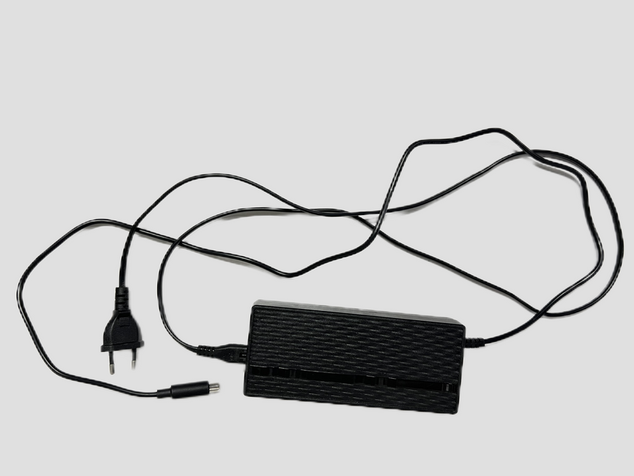 Carica batteria per Kugoo Kirin KuKirin G2 Pro e G2 Max