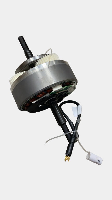 Motore Originale  ENGWE L20