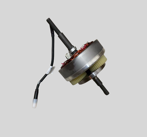 Motore Originale  ENGWE Ep-2 Pro (Versione motore H)