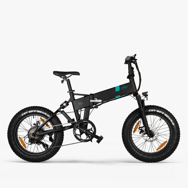 FIIDO M21 | Bicicletta elettrica | Sensore di coppia | Ruote 20"x4.0 | Motore 500W | 48V 11.6Ah | Autonomia 100km | GARANZIA ITALIANA