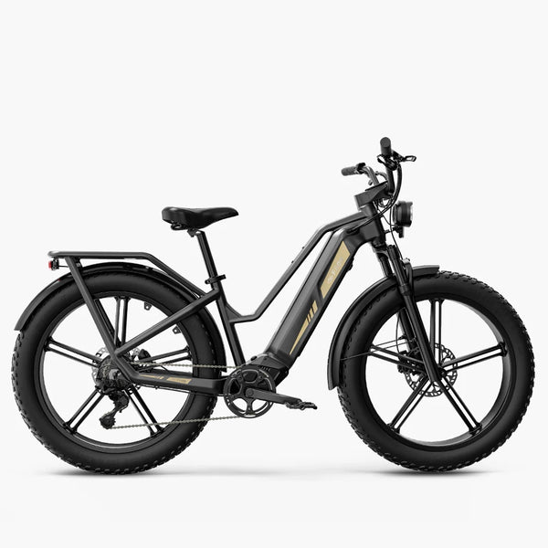 FIIDO  Titan | Bicicletta elettrica | GARANZIA ITALIANA