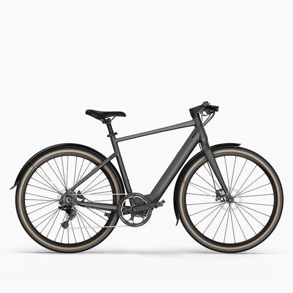 FIIDO E-Gravel C21 | Bicicletta elettrica | Sensore di Coppia | Motore 250W | Autonomia 80km | GARANZIA ITALIANA