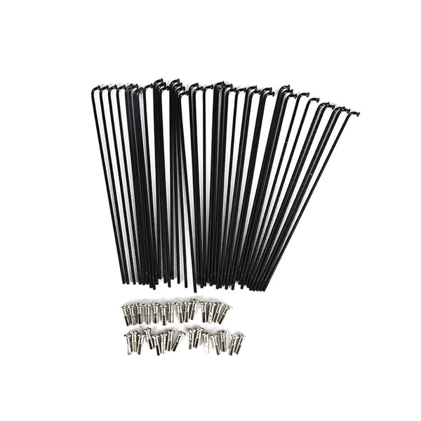Raggi ruota per bicicletta elettrica Fiido M1, M1 Pro, M21